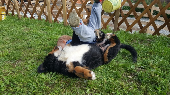 Familienurlaub im Hammerschmied